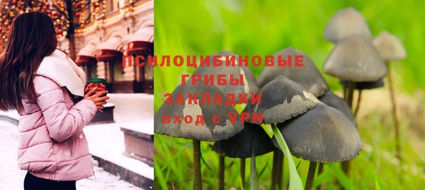 соль ск Липки